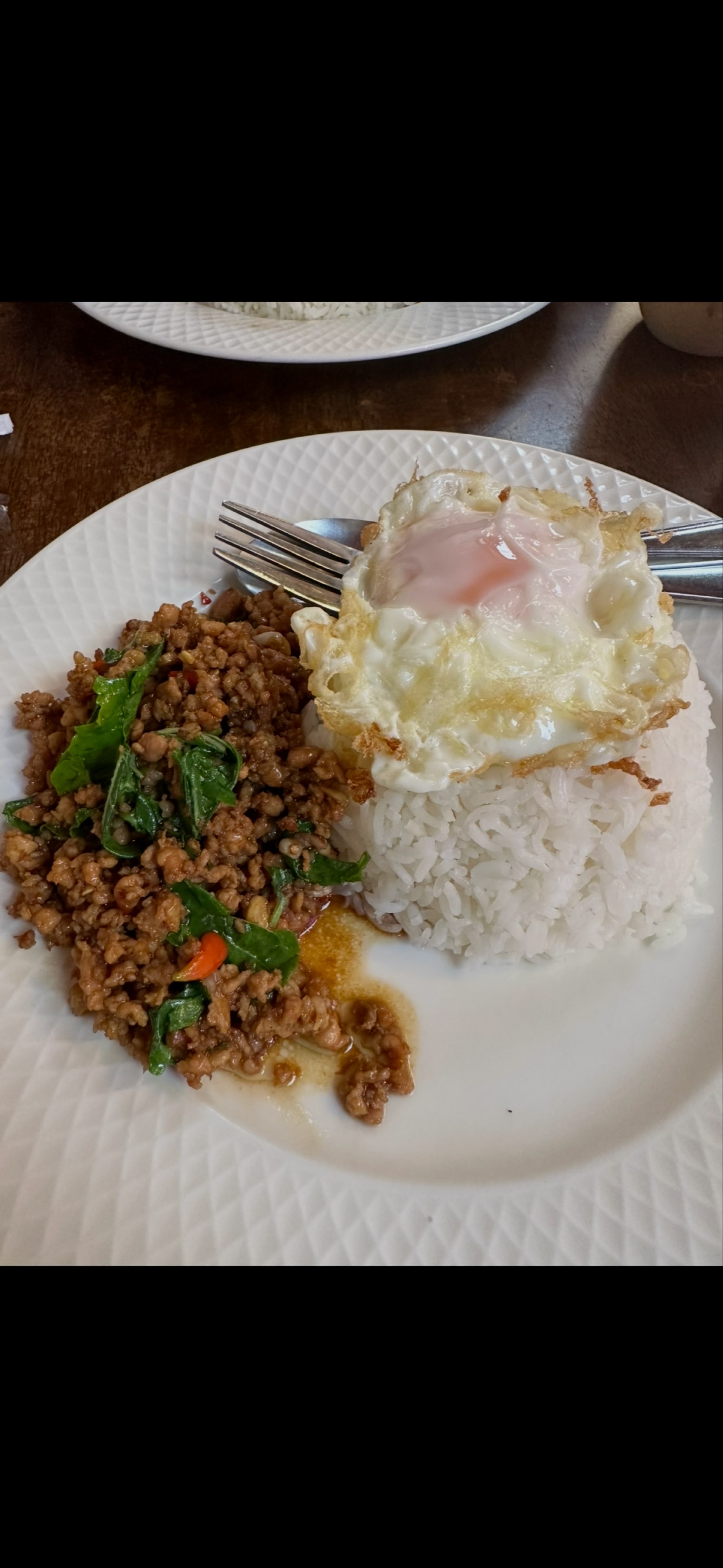 Pad Kra Pao (2S4S)