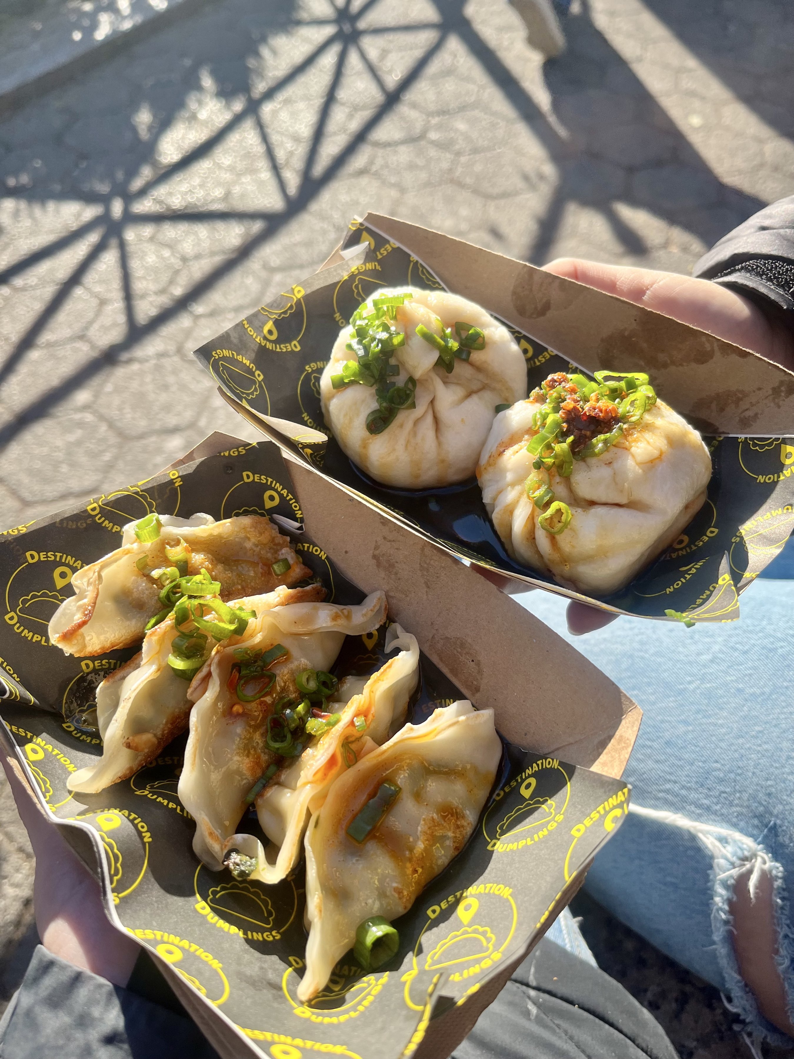 Spicy Pork Dumplings & Pork Buns