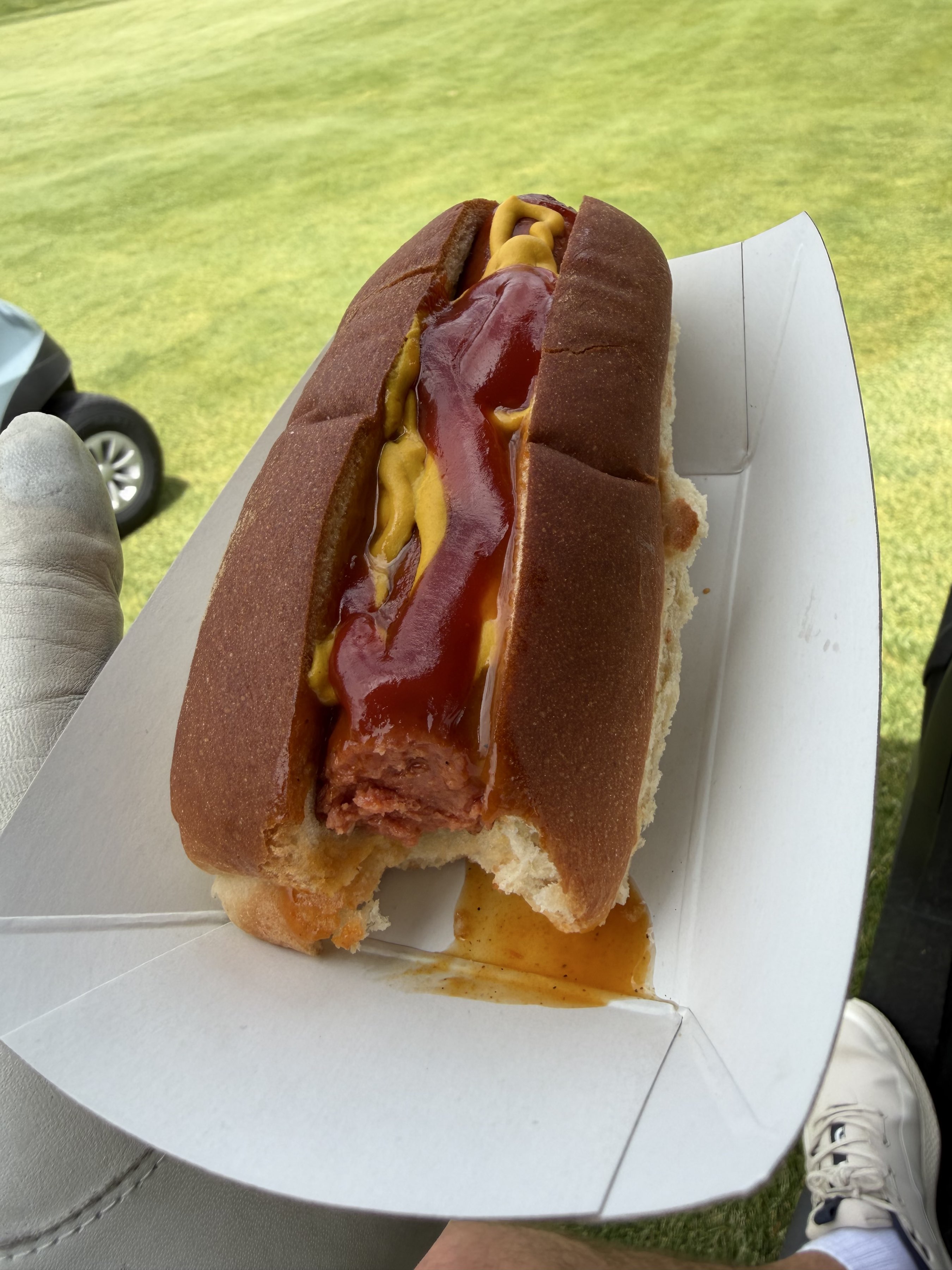 Turn Dog
